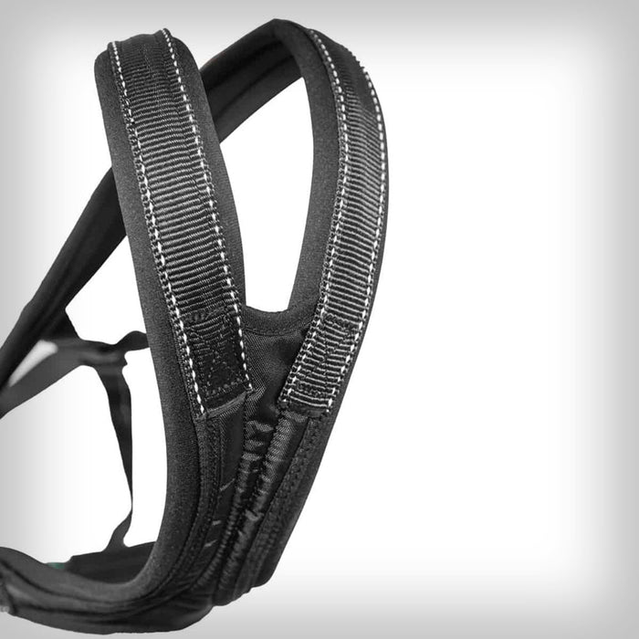 SLEDWORK LONGSIATANCE HARNESS